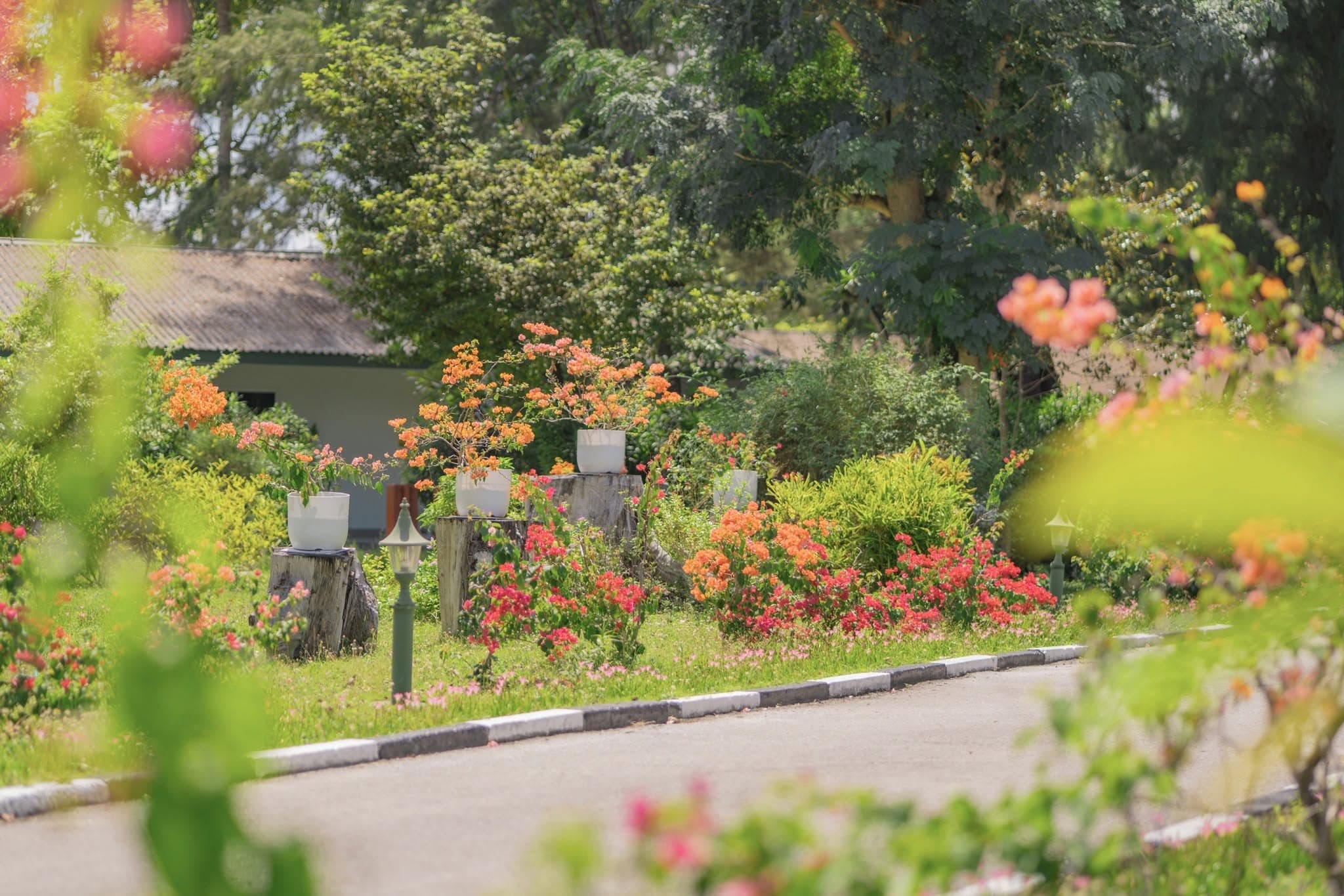 Equator Village — photo 4