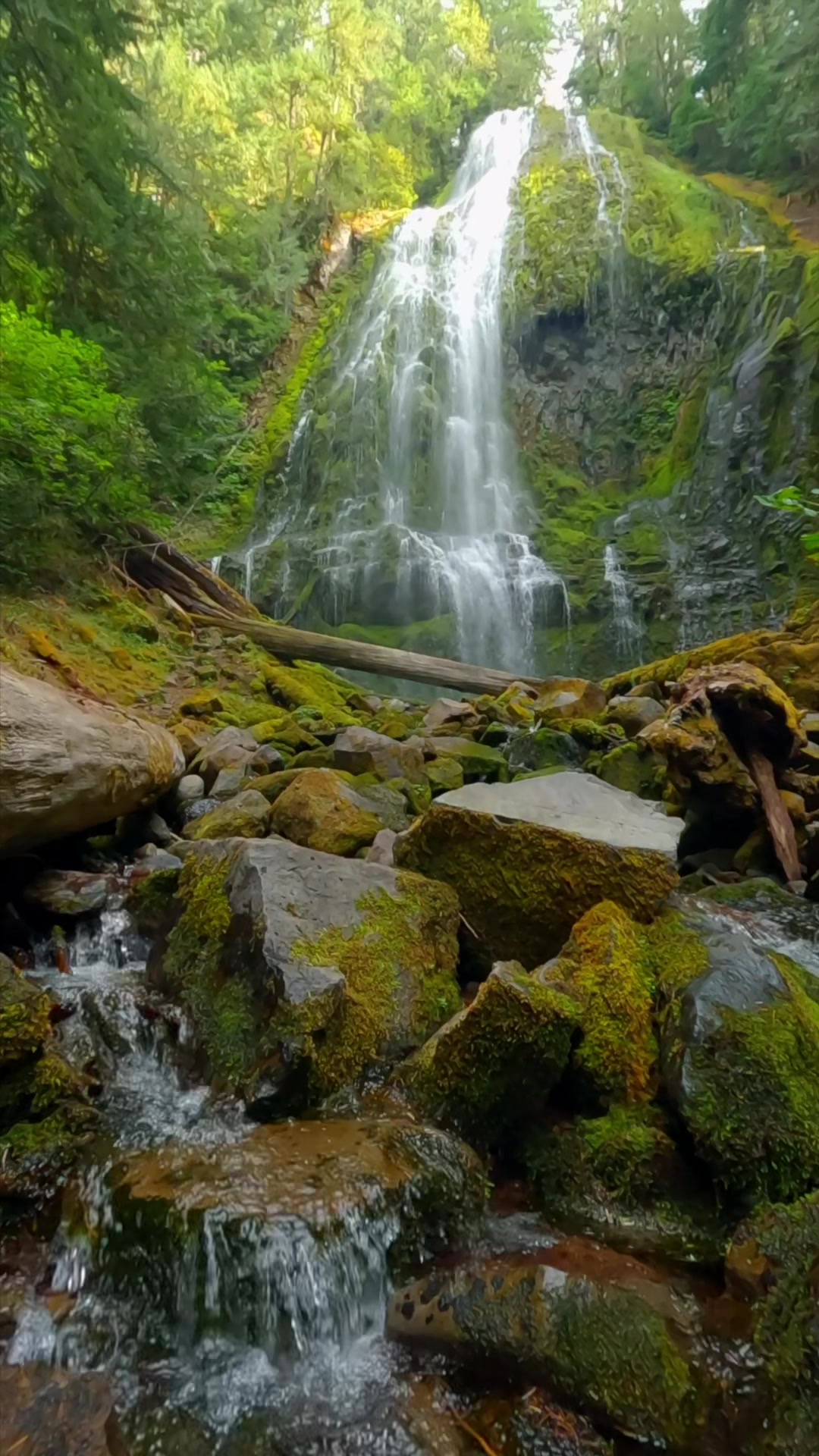 Such an amazing place 🤩 #waterfall #waterfallhike #forest #wilderness #gopro #god #oregonisbeautiful #naturelovers #pnwdiscovered