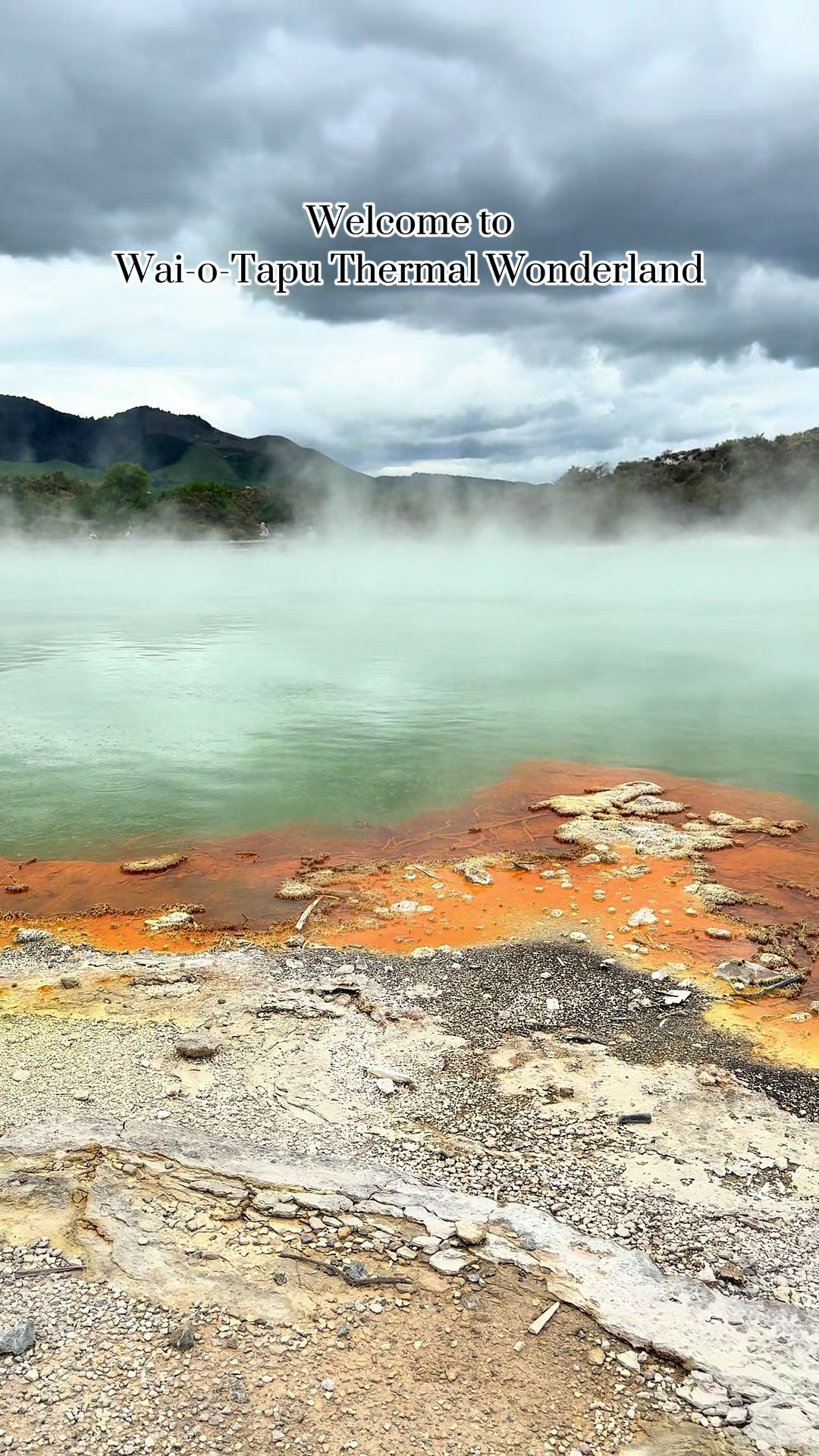 Welcome to Wai-O-Tapu Thermal Wonderland 🤩 🌋  The Lady Knox Geyser erupts with a powerful mix of boiling water and steam, while Champagne Pool&rsquo;s vivid colors come from rich mineral deposits like sulfur, arsenic, and antimony.  These natural phenomena are incredible displays of volcanic activity beneath New Zealand&rsquo;s surface 🌋✨  #WaiOTapu #GeothermalActivity #LadyKnoxGeyser #ChampagnePool #waiotaputhermalwonderland #newzealand #rotorua #rotoruanz #nzmustdo