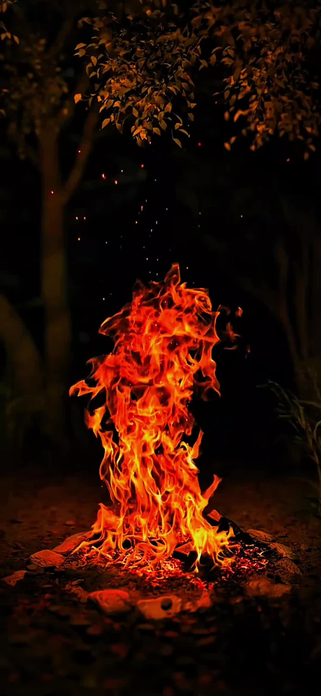 #fire #🔥 #bonfire #livewallpaper #livewallpaper4k #4k #4kUltra #4klivewallpaper #livewallpaper8K #wallpaper #wallpapers #ライブ壁紙4K #8k #틱톡벽지#ផ្ទាំងរូបភាពផ្សាយបន្តផ្ទាល់4k #papeldeparedeaovivo #h&igrave;nhnềnsống4k #живыеобои4k #아트월페이퍼 #5dlivewallpaper #zhivyye_oboi #خلفيةحية #動態壁紙 #wallpaperhidup4k #mobilelegends #wallpaperlive #h&igrave;nhnềnsống #120fps #wallpaperhidup4k #लाइववॉलपेपर4k #&zeta;&omega;&nu;&tau;&alpha;&nu;ή&tau;&alpha;&pi;&epsilon;&tau;&sigma;&alpha;&rho;ί&alpha; #gyvitapetai #longervideos #ライブ壁紙 #tutorial
