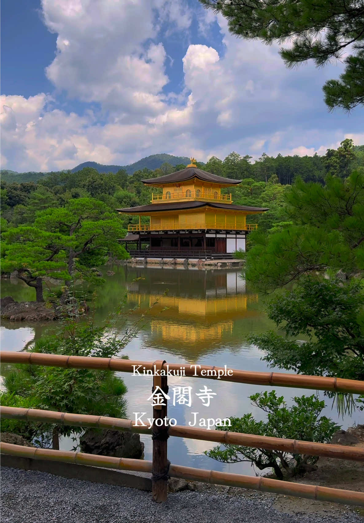 夏の金閣寺があまりにも美しい🥰✨️📍Kinkakuji Temple / 金閣寺 🗾 Kyoto🇯🇵 Kinkakuji Temple was so beautiful in the summer🥰✨️ ✼&bull;&bull;┈┈┈┈&bull;&bull;✼&bull;&bull;┈┈┈┈&bull;&bull;✼ ✔🗓2024 / 7 ▪️Beautiful places in japan🇯🇵 ▪️Please check out➴⡱@matcha_film ▫️𝙲𝚊𝚖𝚎𝚛𝚊:  iPhone15promax ✼&bull;&bull;┈┈┈┈&bull;&bull;✼&bull;&bull;┈┈┈┈&bull;&bull;✼ #japan #japantravel #japantrip #anime #animejapan #japananime #temple  #kyoto  #kinkakuji #kinkakujitemple #kyototrip #kyotojapan #kyototravel #金閣寺 #京都 #京都府 #京都旅行 #京都観光 #そうだ京都行こう #日本の風景