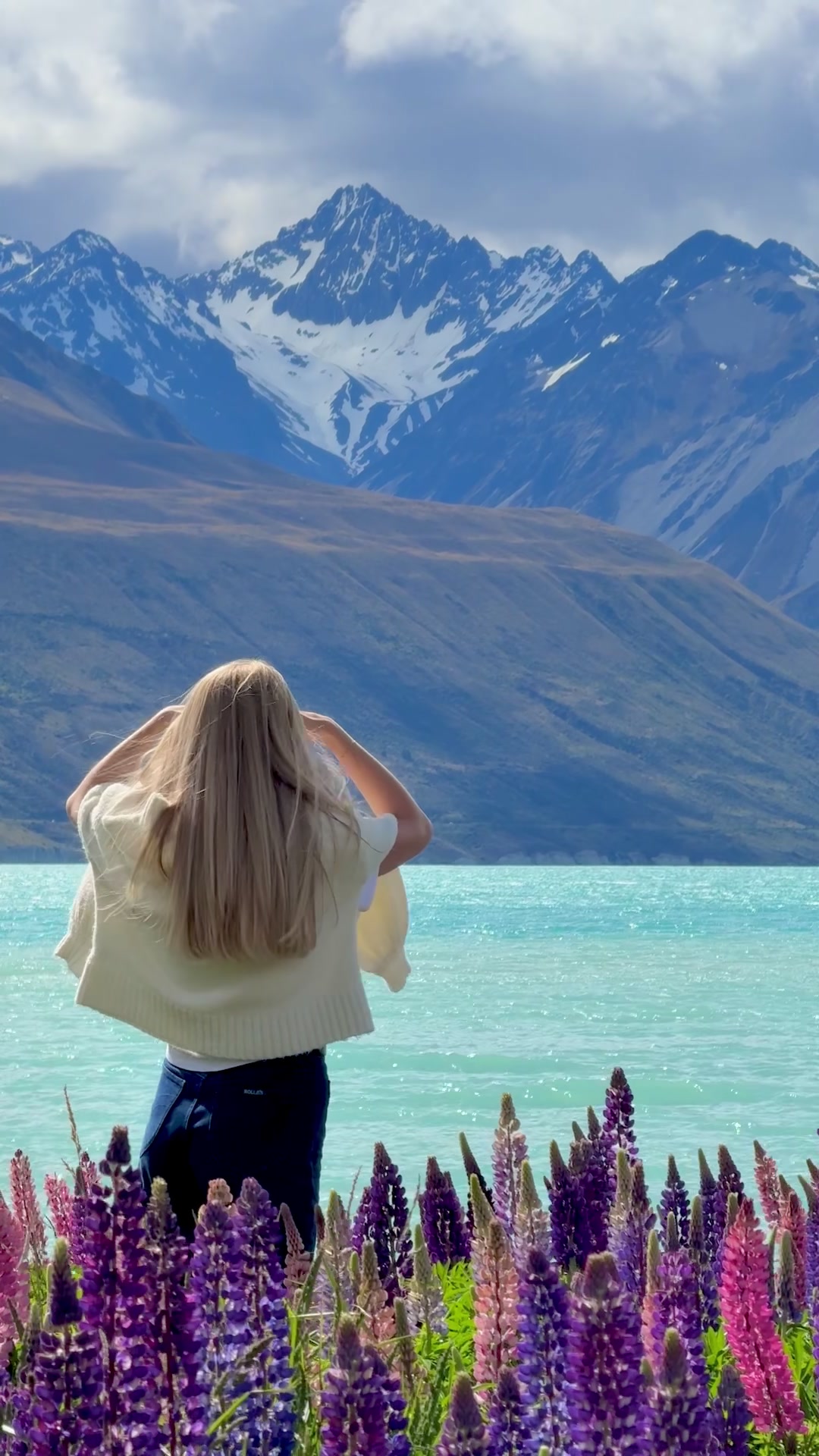 Lupin season in New Zealand! #lakepukaki #lupin #newzealand