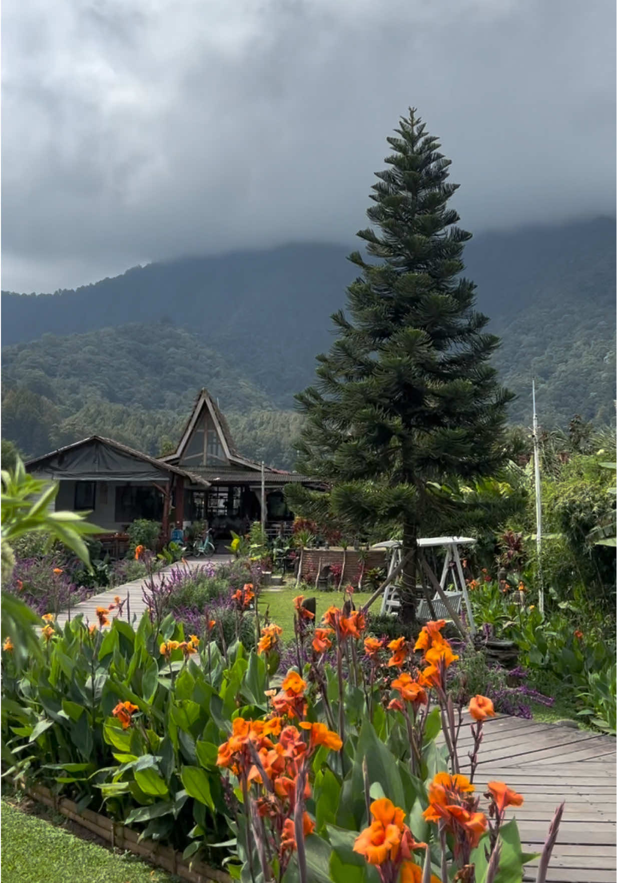 MUST VISIT PLACE IN BEDUGUL-BALI 📍@Cabins by the lake Pondanu  Jalan Dajan Danu, Kembangmerta, Candikuning, Kec. Baturiti, Kabupaten Tabanan, Bali 82191 Pondok Dajan Danu atau yang lebih dikenal dengan sebutan Pondanu adalah sebuah tempat wisata yang tidak hanya memiliki penginapan/cabin. Disini juga terdapat restoran yang letaknya ada di pinggir danau beratap. Jadi kalau kamu mau berkunjung kesini tanpa menginap itu bisa ya.  Ada 2 pilihan tiket masuk disini, pertama tiket masuk seharga Rp 25.000/orang, kamu sudah bisa menikmati suasana alam yang sejuk dan mendapatkan welcome drink. Atau tiket masuk 100.000/orang berupa voucher yang dapat ditukarkan dengan makanan dan minuman. #pondanucabinsbythelake #bedugul #bali #wisatabali #baliplacetogo