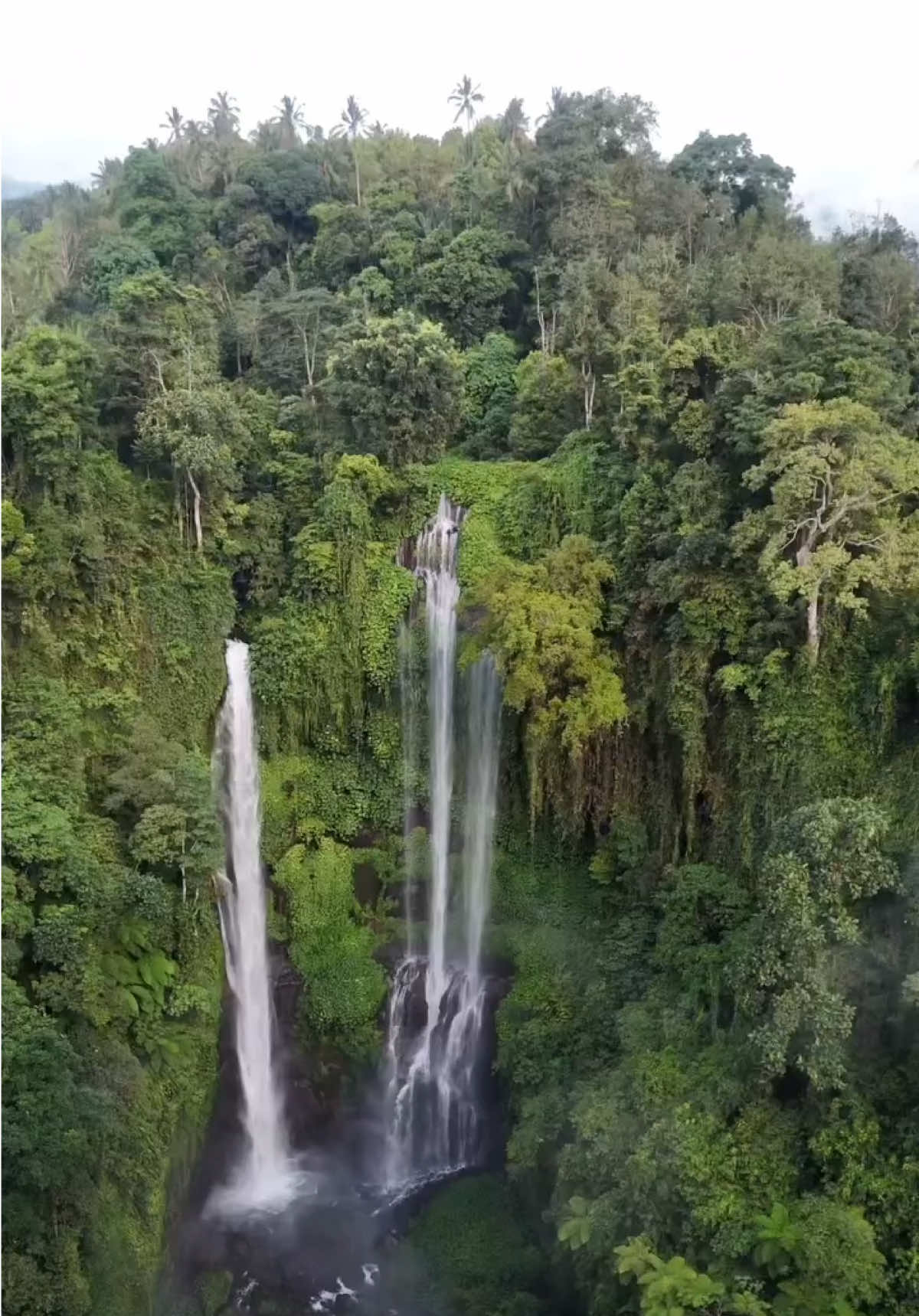 From hidden cascades to sacred temples resting by the lake, from endless green rice terraces to forest paths that gently lead you back to yourself. Munduk reminds you why nature is always worth the journey. If you could escape here for one day&hellip; would you chase the waterfalls, wander through the mist,or simply sit in silence and breathe it all in? Cr/ig: vive_tu_viaje 📍 Munduk, Bali - Indonesia #WonderfulIndonesia #Bali #VisitIndonesia #NatureLovers #TravelBucketList