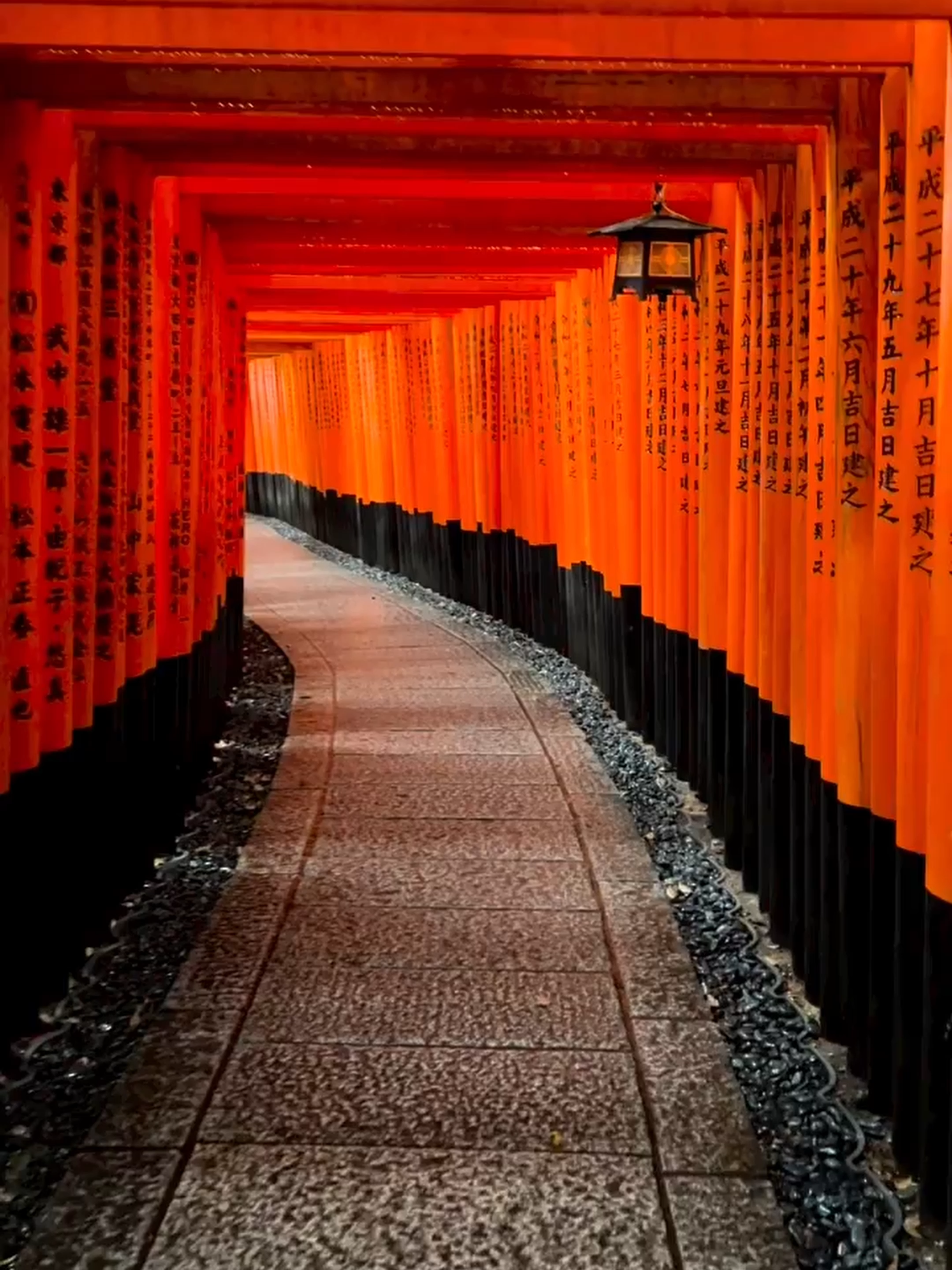 Walking through endless red torii gates in Kyoto ⛩️🇯🇵 Pure tradition, symmetry, and cinematic Japanese energy. Follow for more visually powerful places around the world. #FushimiInari #KyotoJapan #ToriiGates #JapaneseShrine #CinematicPlaces #TraditionalJapan #ExoticDestinations #TravelJapan #fyp #foryou