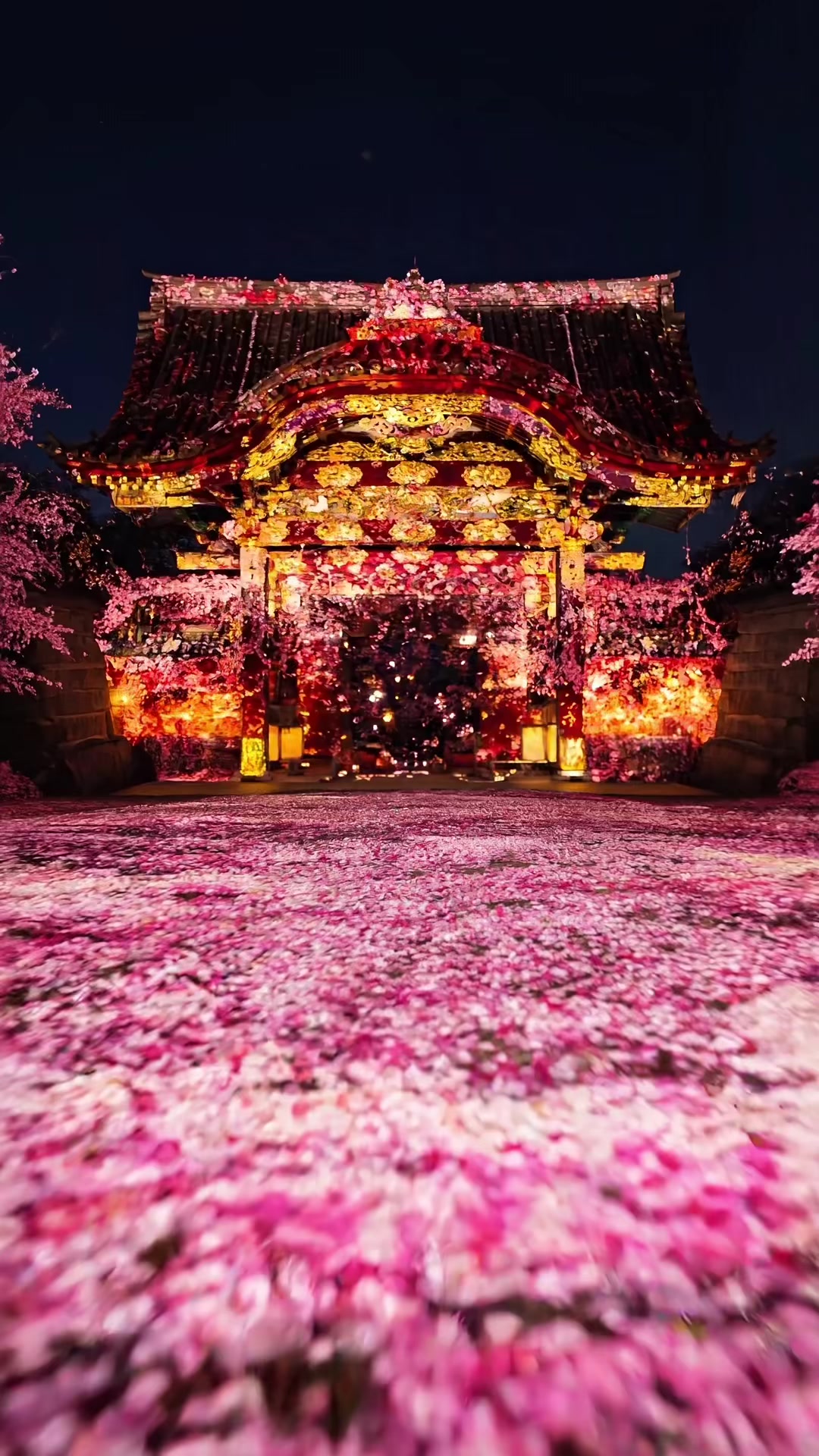 A World Heritage castle glowing with sakura lights 🌸✨   This is the NAKED Sakura Festival at Nijo Castle in Kyoto, Japan 🇯🇵   A 400-year-old historic castle transformed into a magical night experience. Projection mapping, illuminated cherry blossoms, and traditional gardens create a scene you can only see in spring. 📍 Nijo Castle/二条城, Kyoto/京都 Japan   🗓️ Mar 19 &mdash; Apr 19, 2026   🌙 18:00〜22:00 Night event only   🎟️ Ticket required   Would you like to walk through this place at night? 🌸 #japan #cherryblossom #sakura #kyoto #kyotojapan