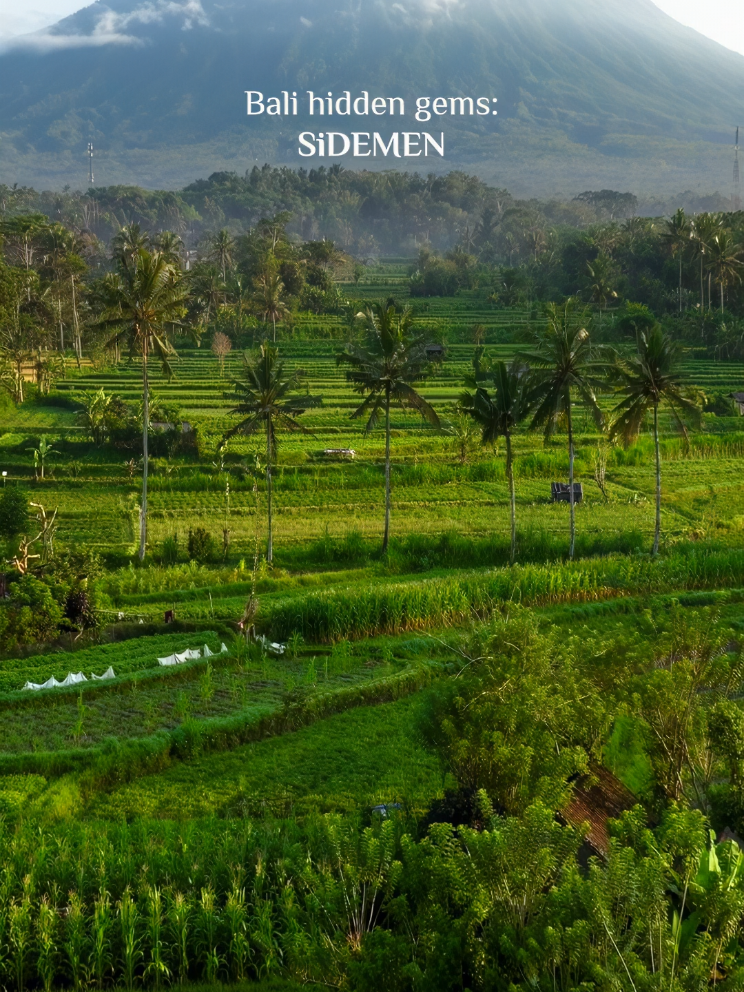 The most peaceful place in Bali. 📍Sidemen. 🌋✨ 3 Must-visits for your 2026 bucket list: 1️⃣ Gembleng Waterfall (Natural infinity pool! 💦) 2️⃣ Bukit Cinta (The best Mt. Agung view 📸) 3️⃣ Samanvaya Luxury Resort (Pure zen 🧘&zwj;♀️) Stop scrolling and start exploring the hidden side of paradise. Link in bio to book your premium transport! 🥥💎 📩 Inquire now:  📱 WhatsApp: +62 811 3809 193 🌍 Website: www.balipremiumtrip.com #Sidemen #BaliBucketList #HiddenGemBali #TravelGoals #BaliPremiumTrip