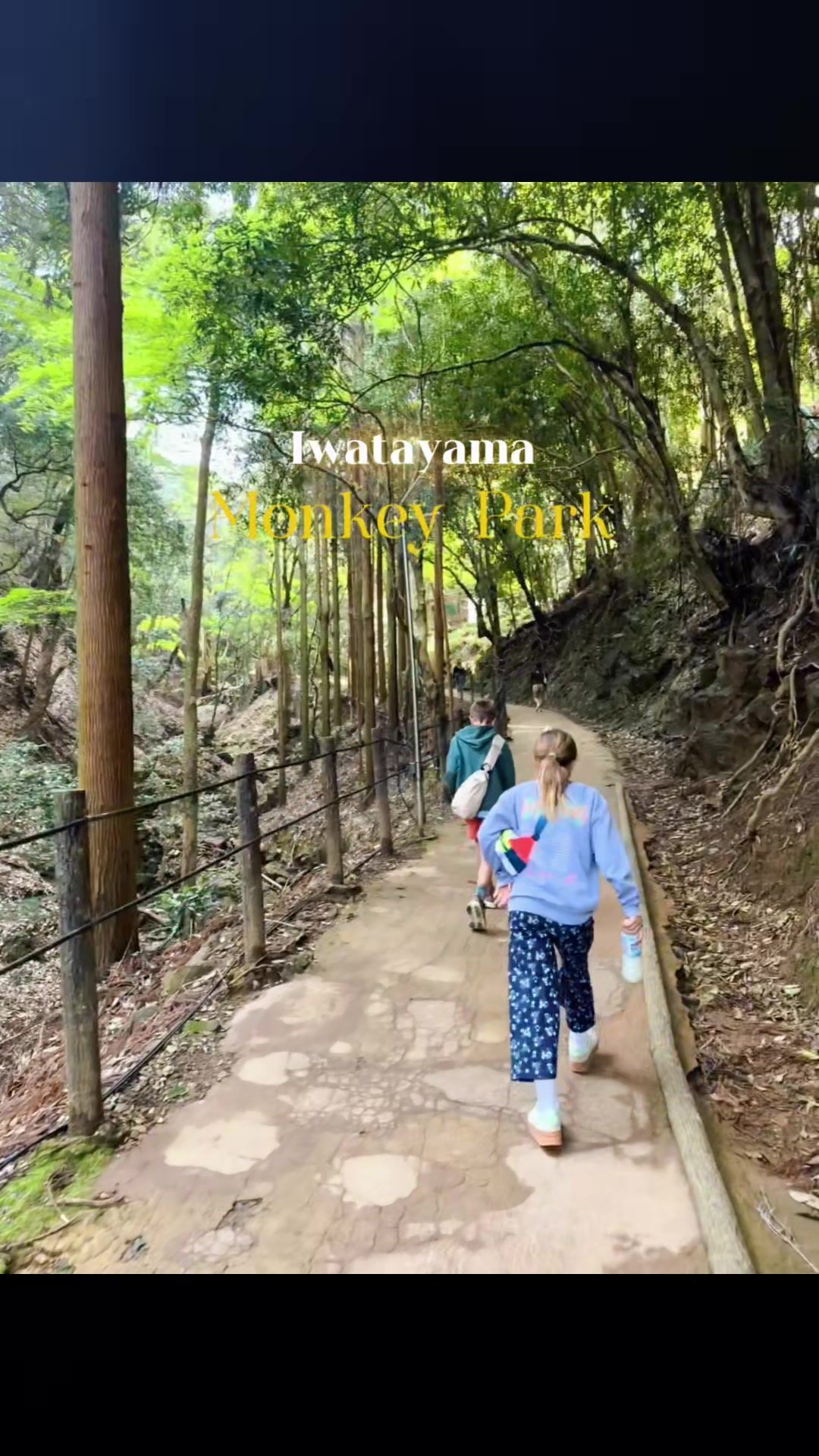 Iwatayama Monkey Park 🐒 ✔️ Great city views ✔️ Kids will enjoy it ❗️ Steep 20&ndash;30 min hike  Opens at 9am but gets crowded quick, a bit underwhelming overall 🐒😅 #arashiyama #kyotojapan #monkeypark #familytravel