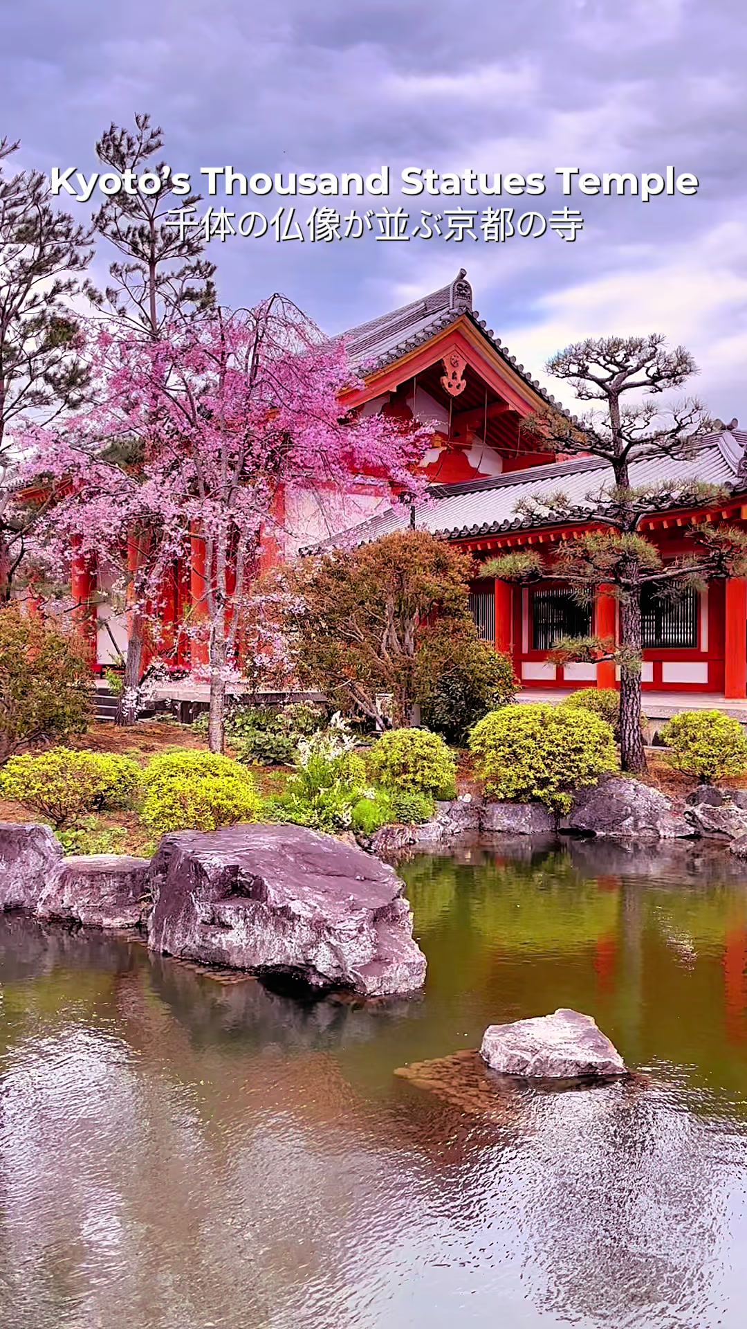 Sanjusangendo Temple in Kyoto. Instead of going to crowded spots like Kinkaku-ji, this is where you can truly feel Japanese art in a quiet atmosphere. Unfortunately, photos aren&rsquo;t allowed inside, but the moment you enter, the 1,000 statues will completely blow your mind. Highly recommended. 京都の三十三間堂。 金閣寺のような混雑した観光地ではなく、静かに日本の美を感じられる場所です。 残念ながら内部は撮影禁止ですが、入った瞬間に1000体の仏像に圧倒されます。 本当におすすめです。 #京都旅行 #京都 #kyoto #kyototemple #お寺