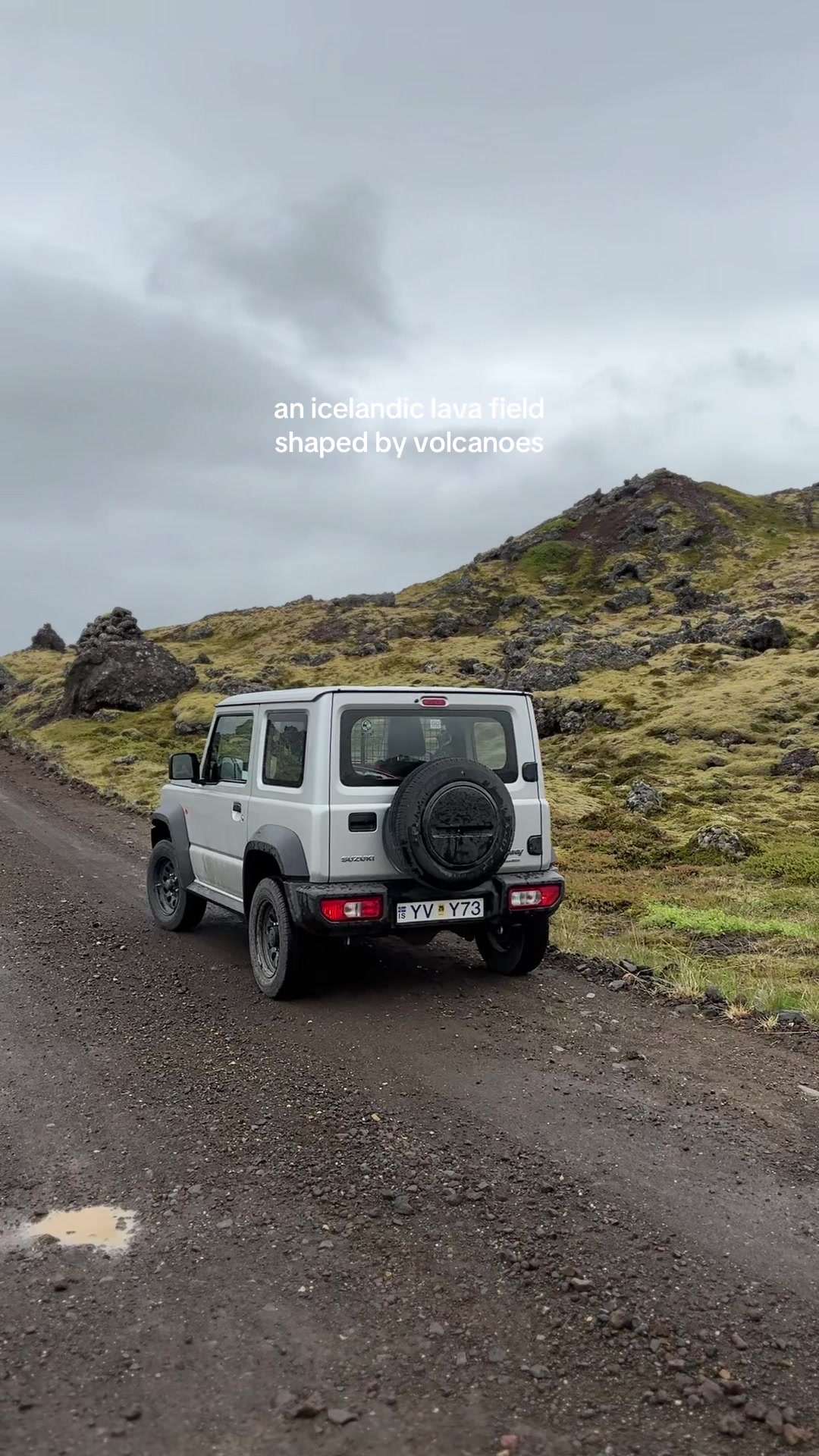 this entire area was once flowing lava 🌋🌱 📍berserkjahraun, iceland #iceland #icelandadventure #roadtrip #travel