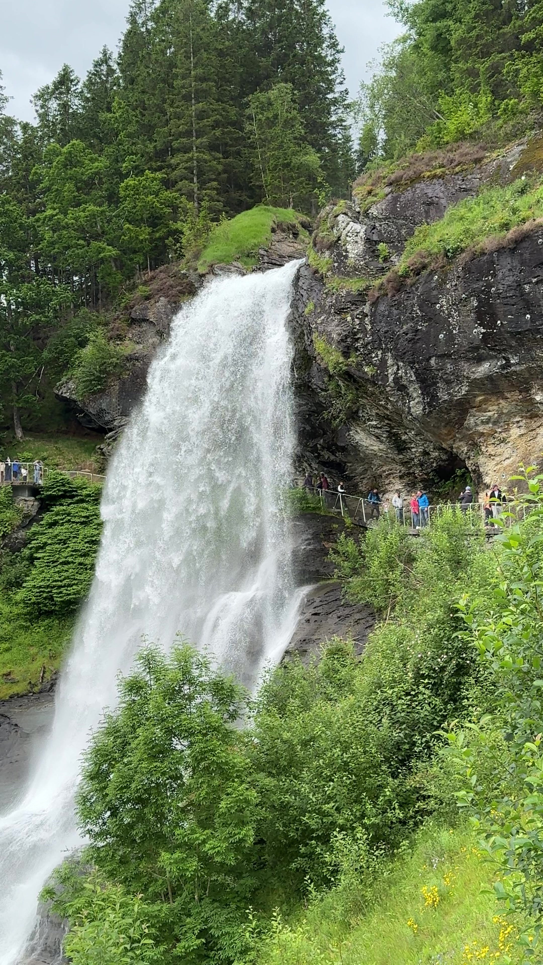 🇳🇴 Steinsdalsfossen &ndash; Norway&rsquo;s Waterfall You Can Walk Behind Experience the magic of Steinsdalsfossen, one of Norway&rsquo;s most iconic waterfalls. Located near Norheimsund in the heart of Hardanger, this spectacular 46-meter waterfall lets you walk safely behind the cascading water without getting wet. A truly unforgettable stop surrounded by breathtaking Norwegian scenery.   🇳🇴✨🌊 #Steinsdalsfossen #Norway #VisitNorway #Hardanger #Norheimsund