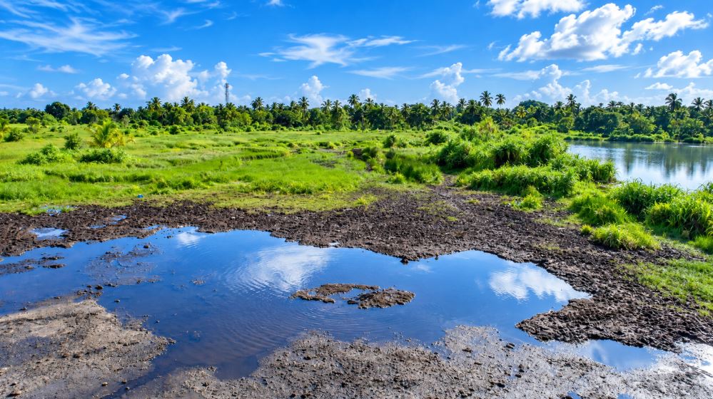 Mud1 — Southern Maldives